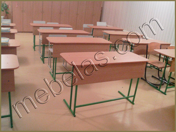 School20
