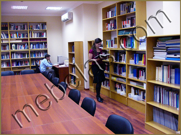 Biblioteka30