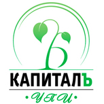 Upi_capital